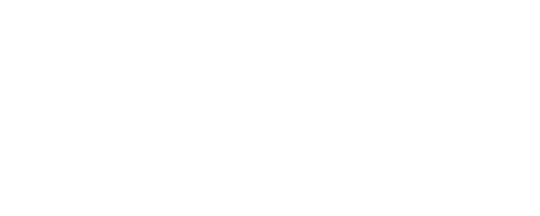 St. Vincent's Foundation logo